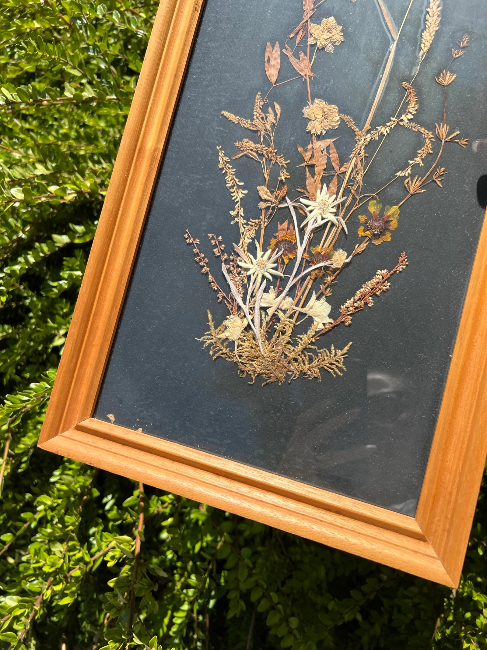 💮 Kadar kruidenboeket gedroogde bloemen Edelweiss vintage hout decoratieve muurkunst natuurlijk 56x26 cm – photo 4